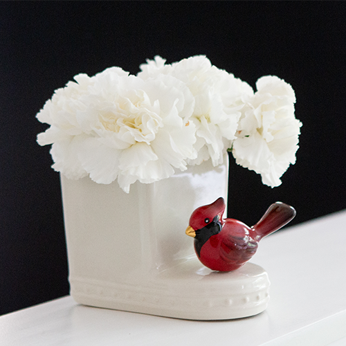 red-cardinal-website